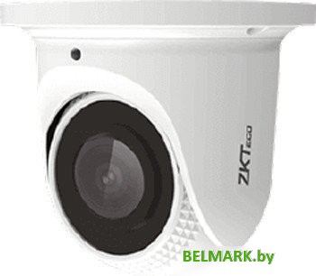 IP-камера ZKTeco ES-852T21C-S6-MI - фото