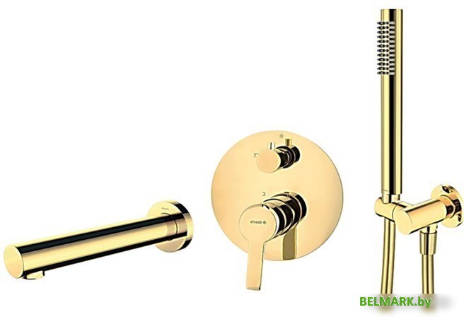 Душевой гарнитур Deante Z01W - фото