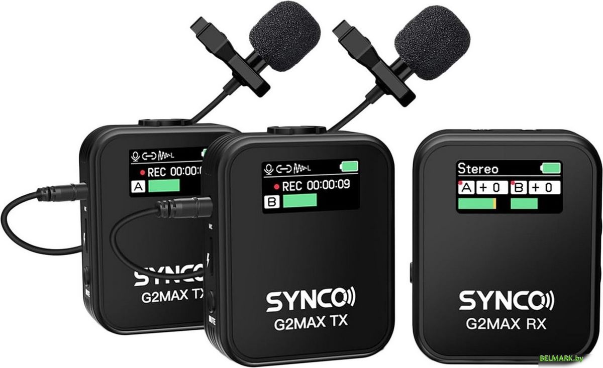 Радиосистема Synco G2(A2) Max - фото