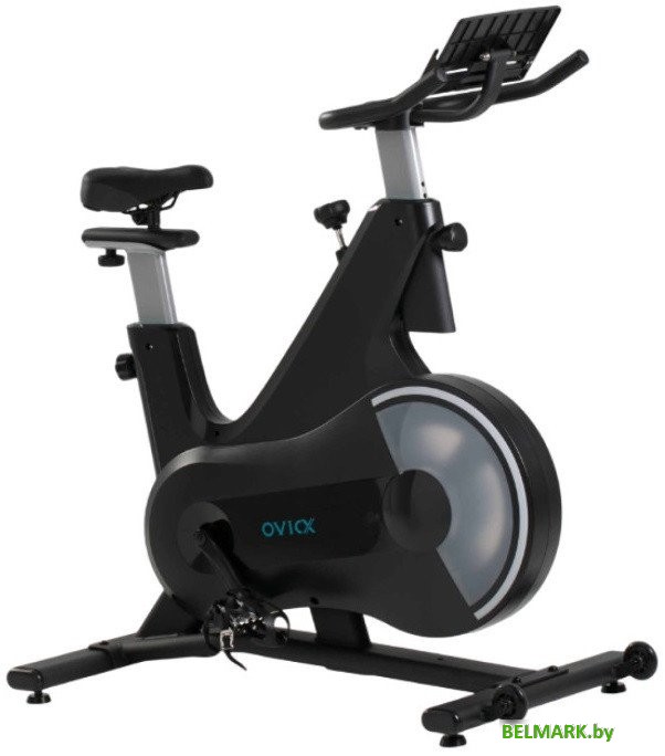Велотренажер DFC Ovicx B-Q210B - фото