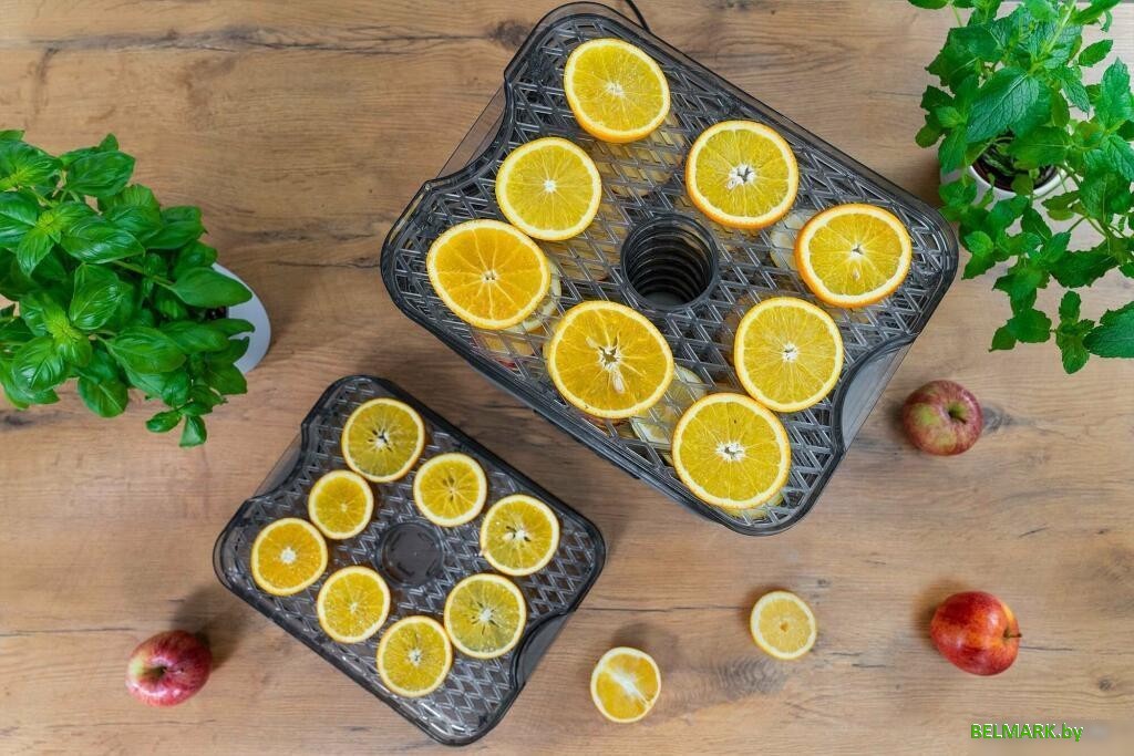 Сушилка для овощей и фруктов Goetze & Jensen FD800 - фото2