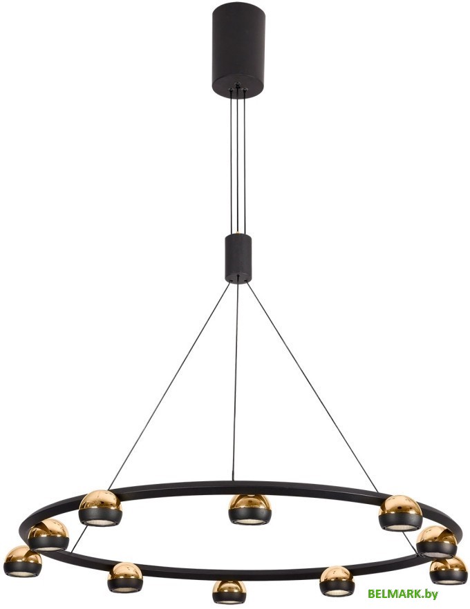 Подвесная люстра Lussole Lassen LSP-7253 - фото