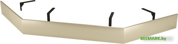 Экран для душевого поддона RGW N/ST-61 Be 50231700-03 100x100 - фото