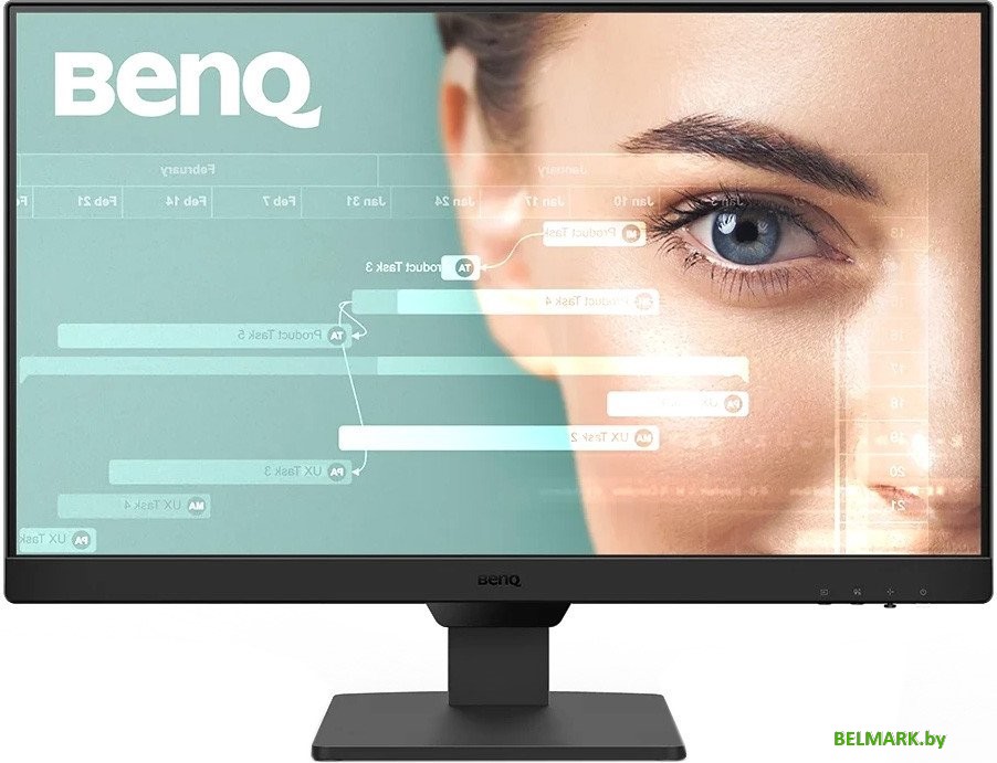 Монитор BenQ Eye-Care GW2490E - фото