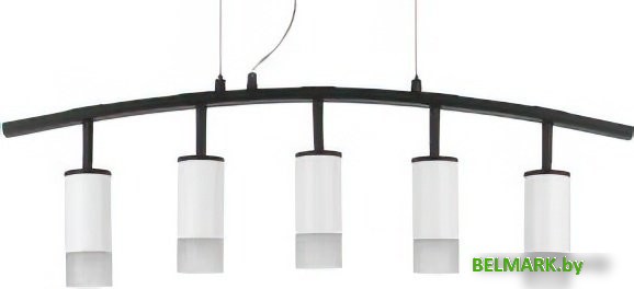 Подвесная люстра Lightstar Rullo LR7353651 - фото