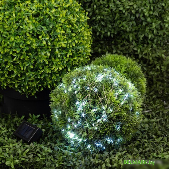 Световая сетка ЭРА ERAPS-SK2 - фото