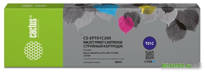 Картридж CACTUS CS-EPT01C200 (аналог Epson T01C2) - фото
