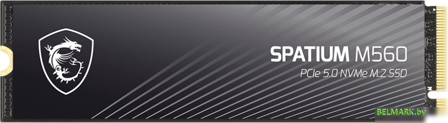 SSD MSI Spatium M560 1TB S78-440L0F0-P83 - фото