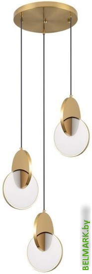 Подвесная люстра Aployt Mila APL.044.16.24 - фото