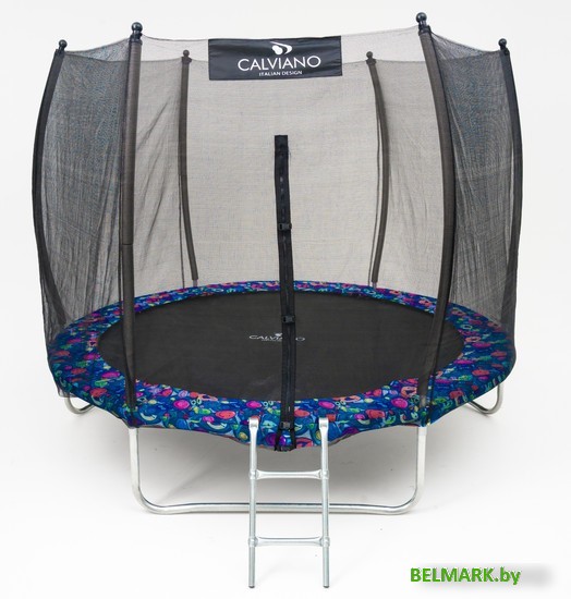 Батут Calviano Outside Master Smile 312 см - 10ft (внешняя сетка, с лестницей) - фото2