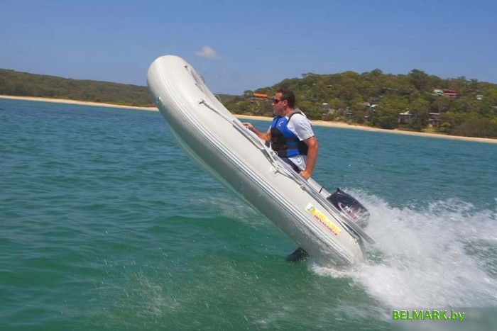 Лодочный мотор Parsun T15 BMS - фото2