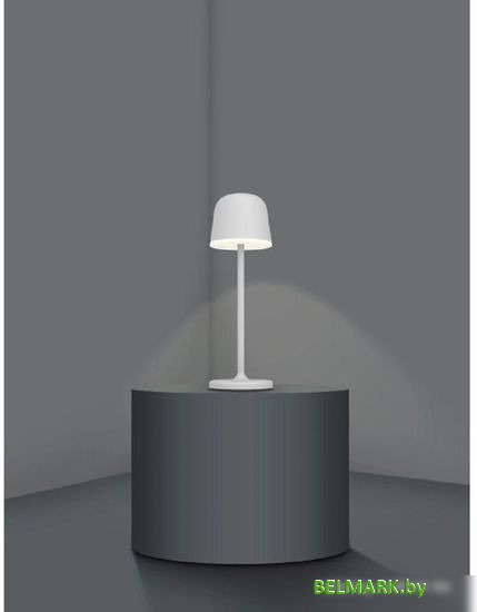 Садовый светильник Eglo Mannera 900458 - фото2