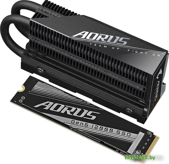 SSD Gigabyte Aorus Gen5 12000 1TB AG512K1TB - фото