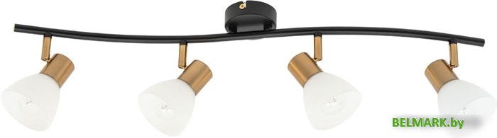 Спот Arte Lamp Falena A3117PL-4BK - фото