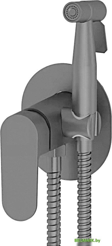 Гигиенический душ Vieir V283551-G - фото