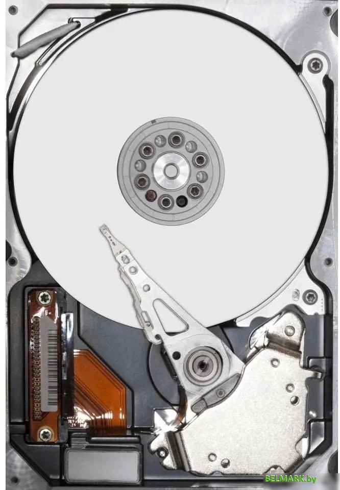 Жесткий диск Seagate IronWolf 10TB ST10000VN000 - фото2
