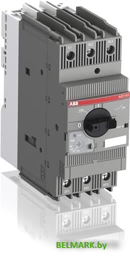 ABB MS165-42 42А 22кВт 25кА 1SAM451000R1015 - фото
