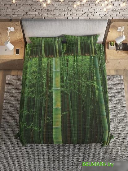 Покрывало JoyArty Затеряный в бамбуке bcsl_4876 (220x235, 2 наволочки) - фото