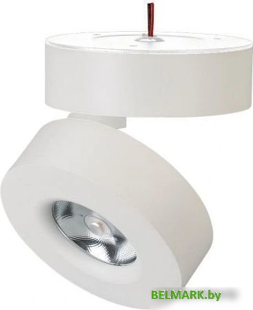 Спот Arlight SP-MONA-SURFACE-R100-12W (WH) 025439(1) - фото