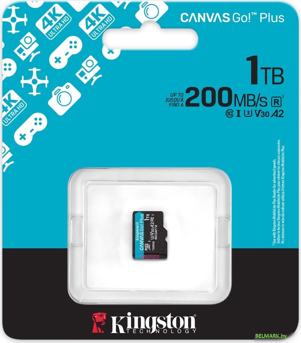 Карта памяти Kingston Canvas Go! microSDXC 1TB SDCG4/1TBSP - фото2