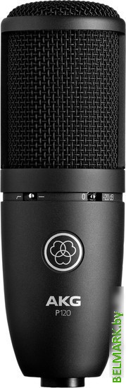 Микрофон AKG P120 - фото