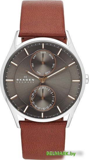 Наручные часы Skagen SKW6086 - фото