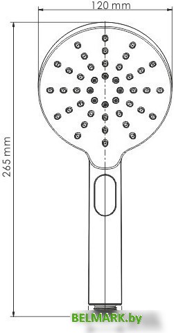 Душевая лейка Wasserkraft A127 - фото2