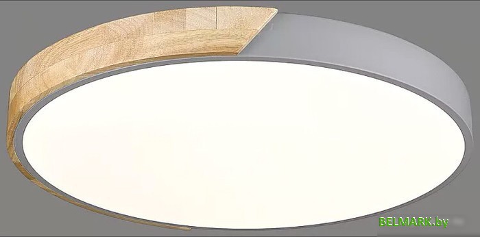 Припотолочная люстра Velante 445-247-01 - фото