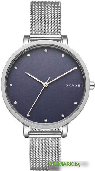 Наручные часы Skagen SKW2582 - фото