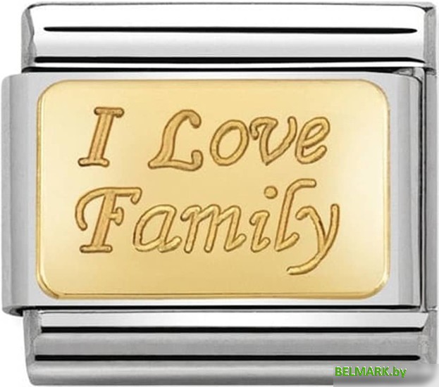 Звено для браслета NominatioN Я люблю семью 030121/33 - фото
