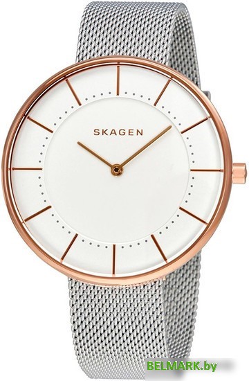 Наручные часы Skagen SKW2583 - фото