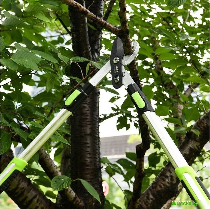 Сучкорез Deli DL580423 - фото2