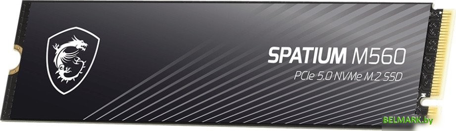SSD MSI Spatium M560 1TB S78-440L0F0-P83 - фото2