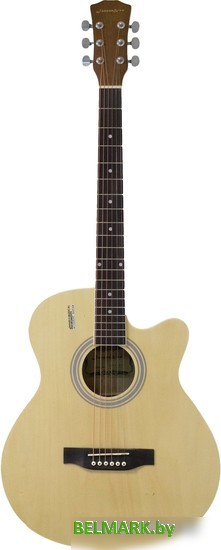 Акустическая гитара Elitaro E4020 N - фото