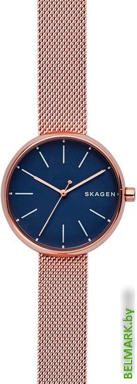 Наручные часы Skagen SKW2593 - фото
