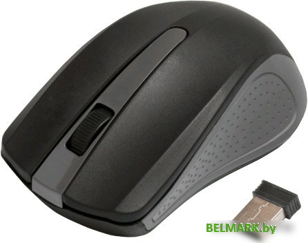 Мышь Ritmix RMW-555 (черный/серый) - фото