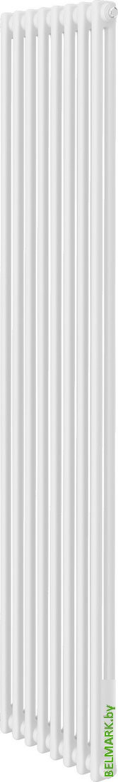 Стальной трубчатый радиатор Royal Thermo Insignia C2180 - 08 секций RAL9016 - фото