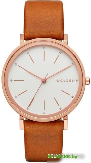 Наручные часы Skagen SKW2488 - фото