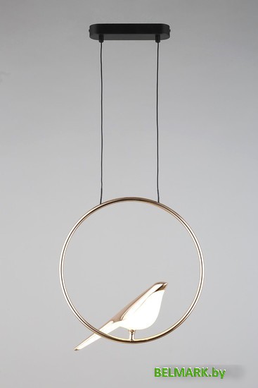 Люстра средней высоты Aployt Astor APL.822.06.10 - фото2