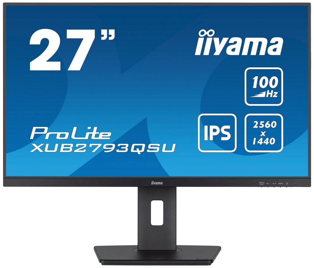 Монитор Iiyama ProLite XUB2793QSU-B6 - фото
