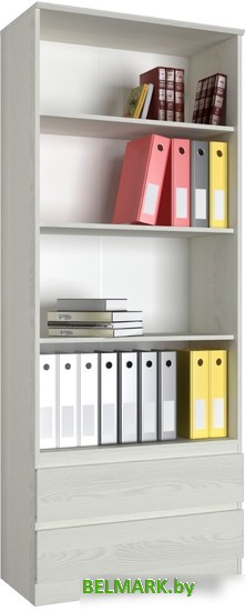 Книжный шкаф Евва Турин ТР-4T2S/YA-S (ясень снежный) - фото