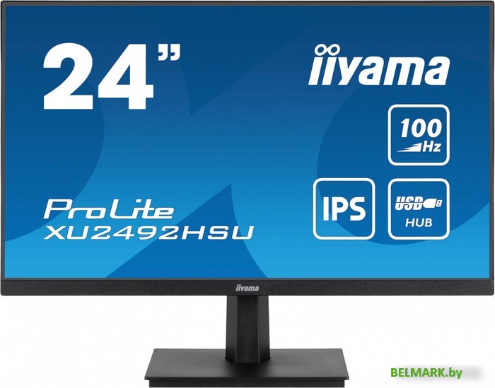 Монитор Iiyama ProLite XU2492HSU-B6 - фото