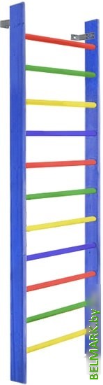 Шведская стенка (лестница) Dinamika ZSO-000061 цветная (массив сосны, боковина 110х35 мм) - фото