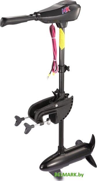 Лодочный мотор HK Motors TRM-L-55 - фото