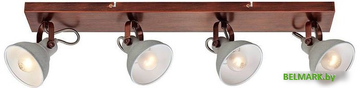 Точечный светильник Lussole Loft LSP-9829 - фото