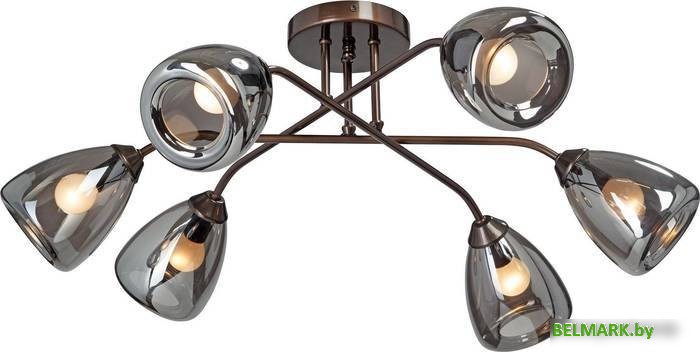 Люстра средней высоты Vitaluce V4955-7/6PL - фото