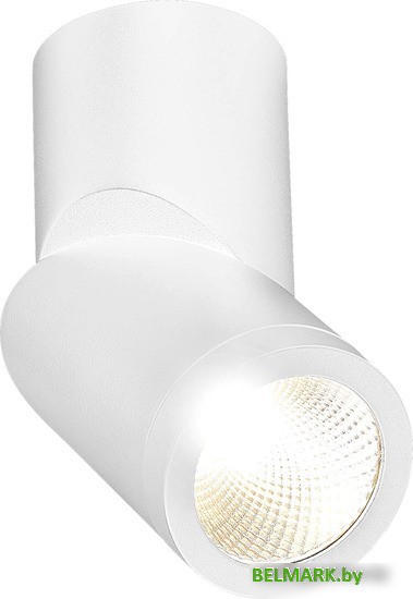 Спот ST Luce ST650 ST650.532.10 - фото