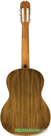 Акустическая гитара Manuel Rodriguez MR-MODEL-C10 - фото2