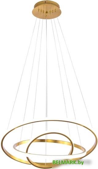 Подвесная люстра Aployt Janina APL.018.13.60 - фото