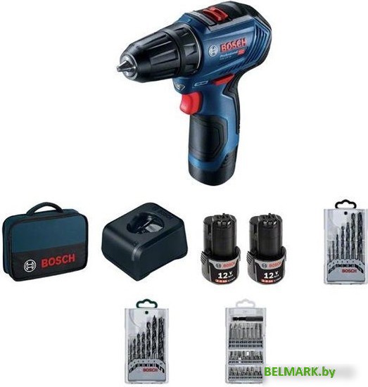 Дрель-шуруповерт Bosch GSR 12V-30 Professional 06019G9001 (с 2-мя АКБ, сумка, набор оснастки) - фото